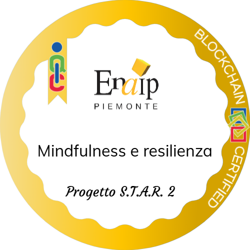 Badge pubblico 74014